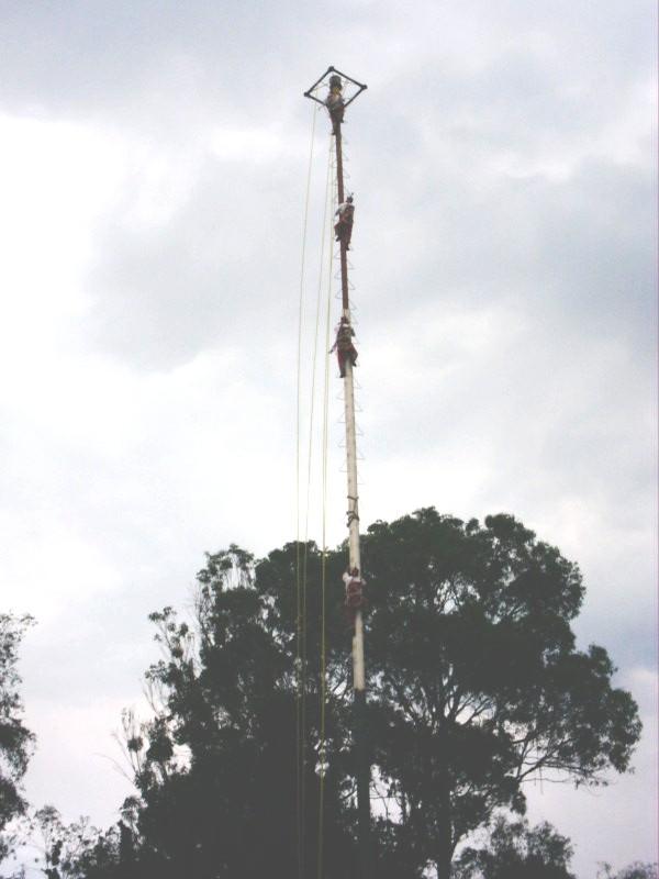 VOLADORES.jpg