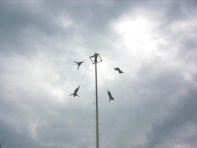 VOLADORES2.jpg