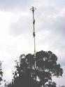 VOLADORES