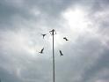 VOLADORES2