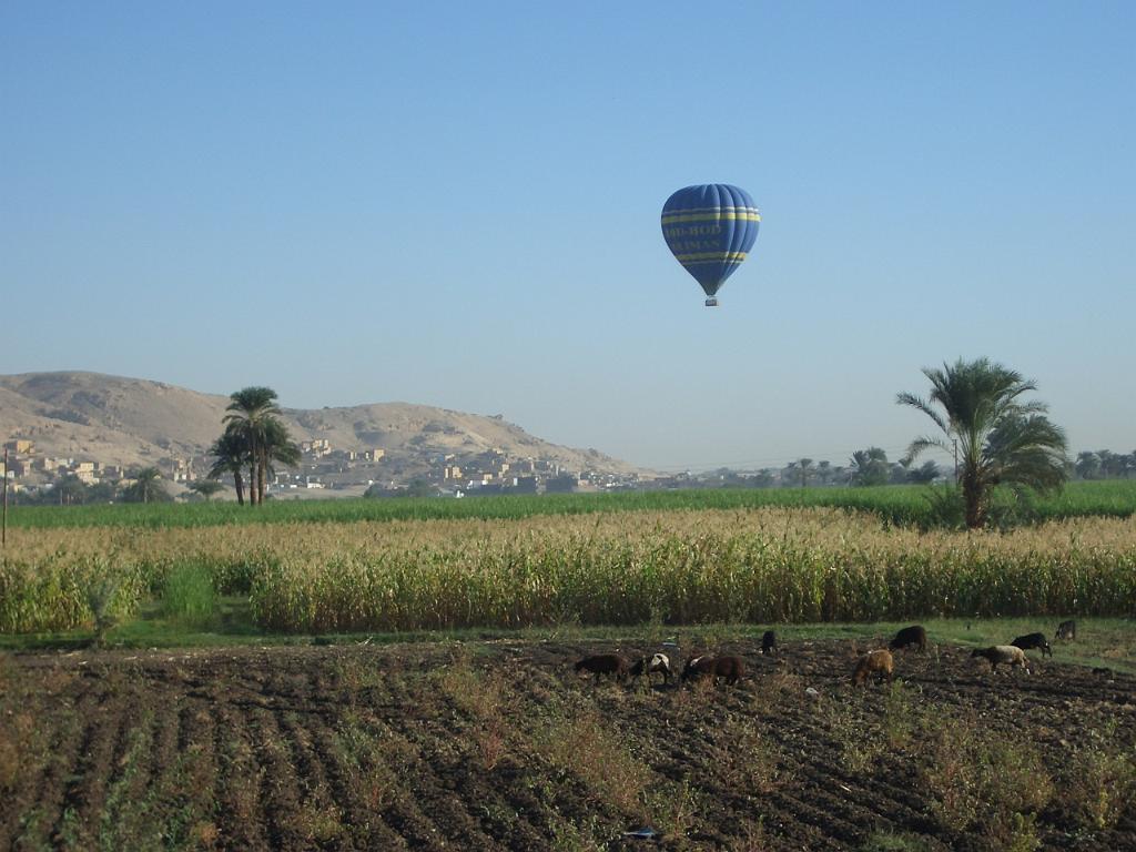 298_Egypt.JPG