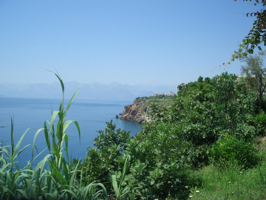 083_Turkey.JPG