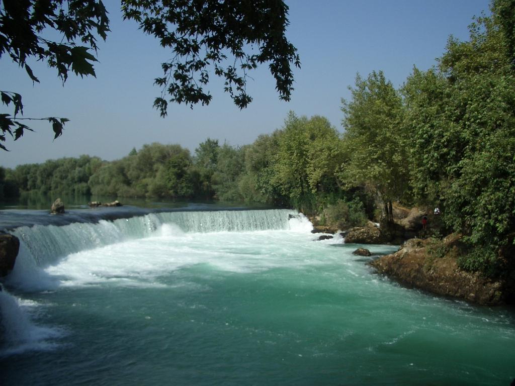 142_Turkey.JPG