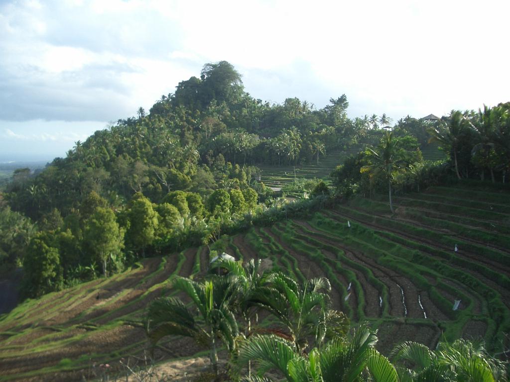 178_Bali.JPG