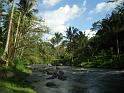 103_Bali