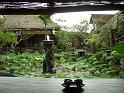 242_Bali