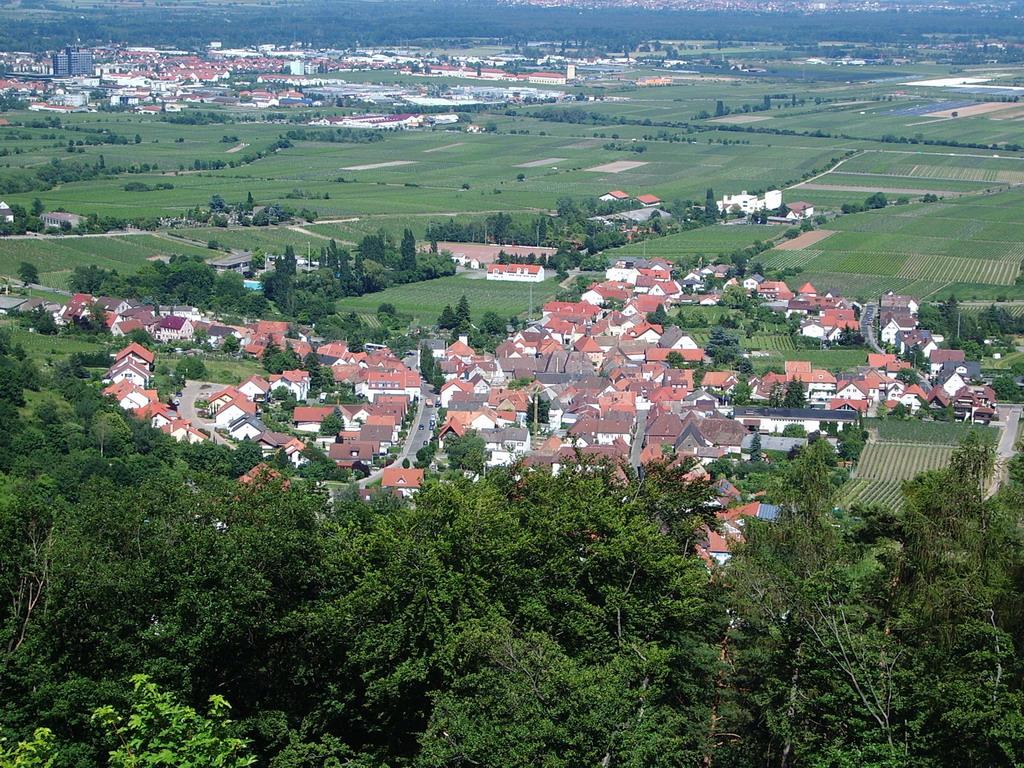 135_Germany.jpg