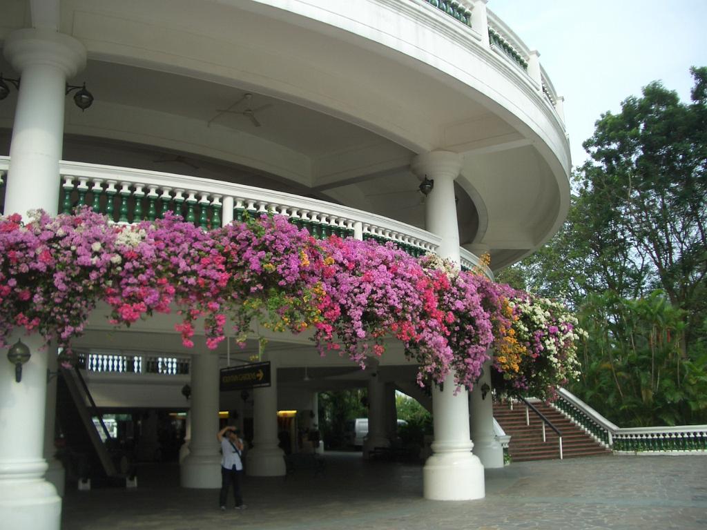118_Singapore.JPG