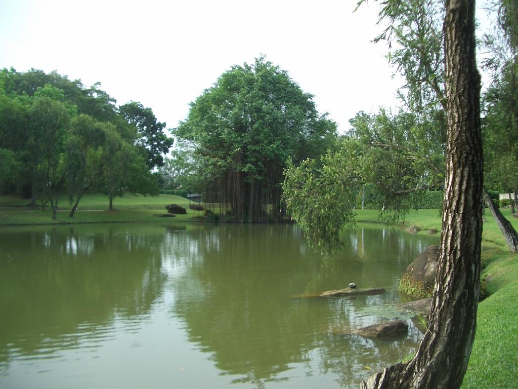 207_Singapore.JPG