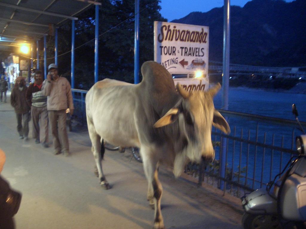 036_India.jpg