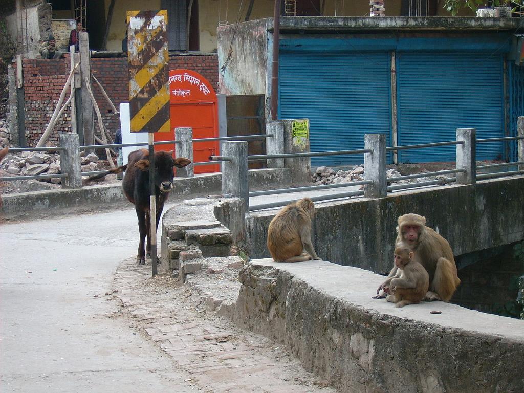 094_India.jpg