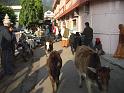 054_India