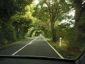 Ruegen_Sep08_014