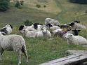 Ruegen_Sep08_053