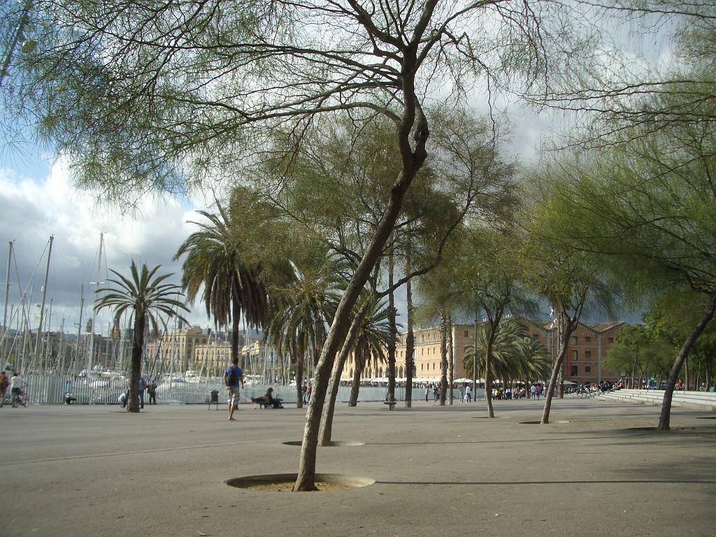 Barcelona_Oct08_009.jpg