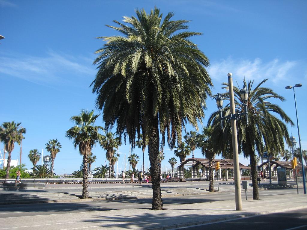 Barcelona_2009_046.jpg