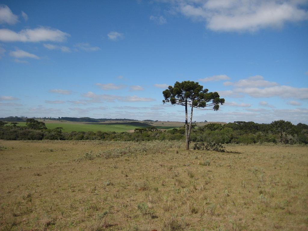 Brasil_2009_007.jpg