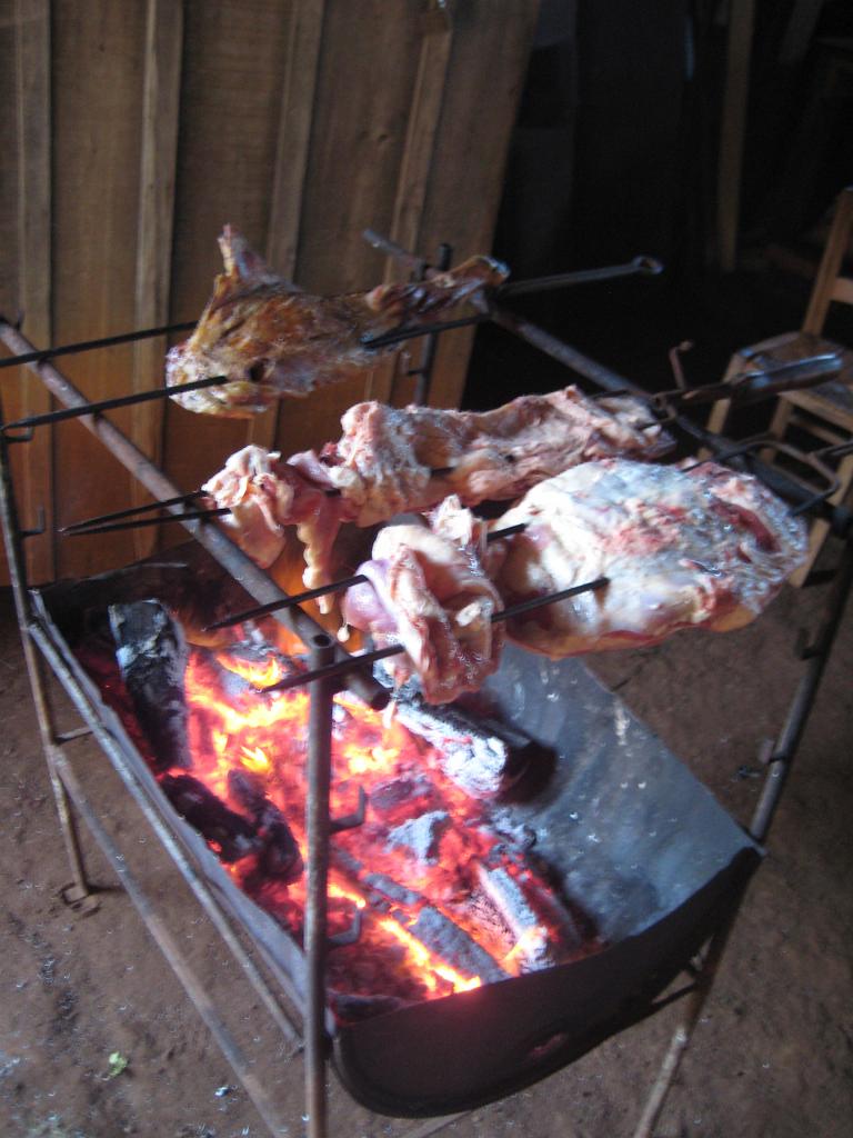 Brasil_2009_010.jpg
