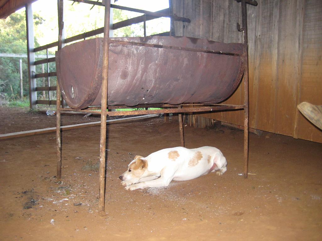 Brasil_2009_019.jpg