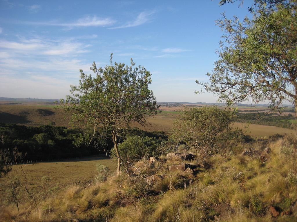 Brasil_2009_028.jpg