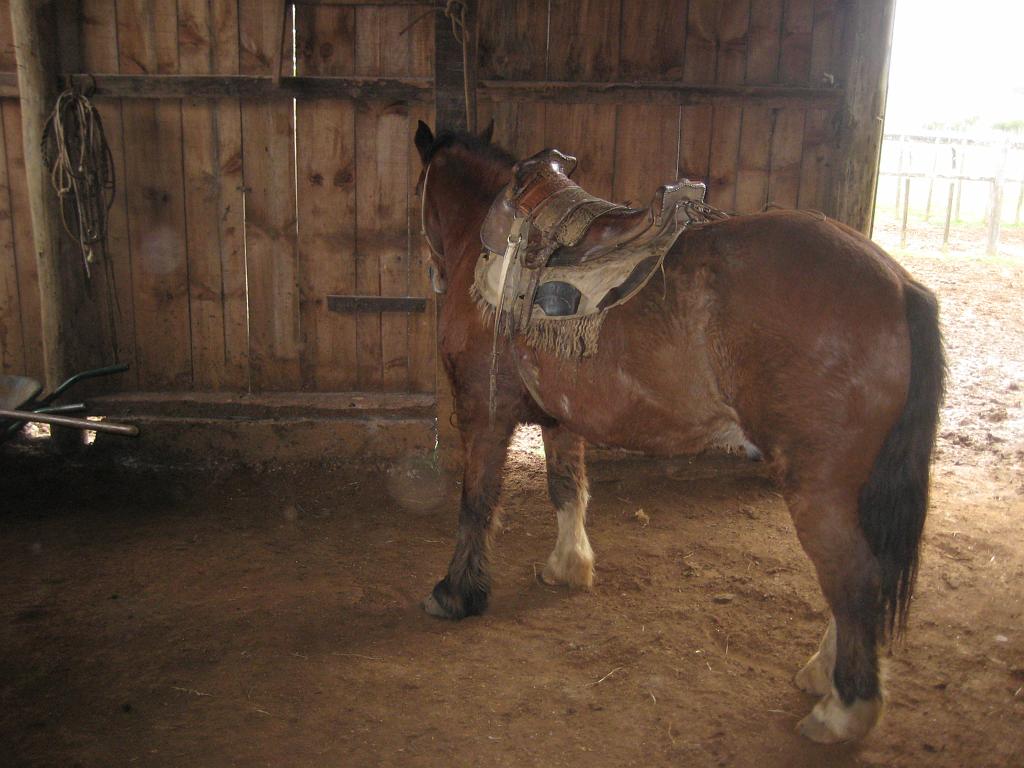 Brasil_2009_035.jpg