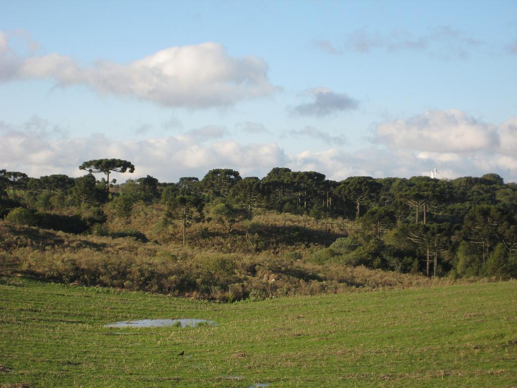 Brasil_2009_080.jpg