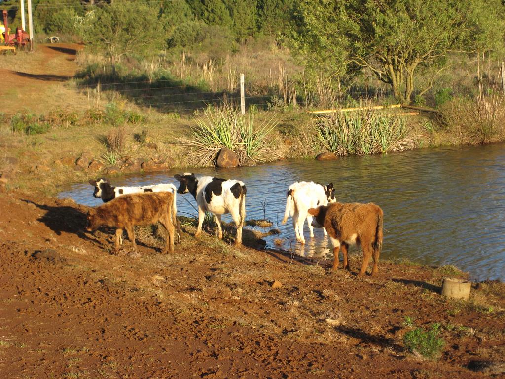 Brasil_2009_089.jpg