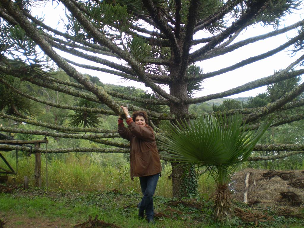 Brasil_2009_532.jpg