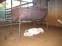 Brasil_2009_019