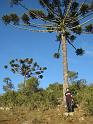 Brasil_2009_025