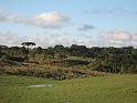 Brasil_2009_080