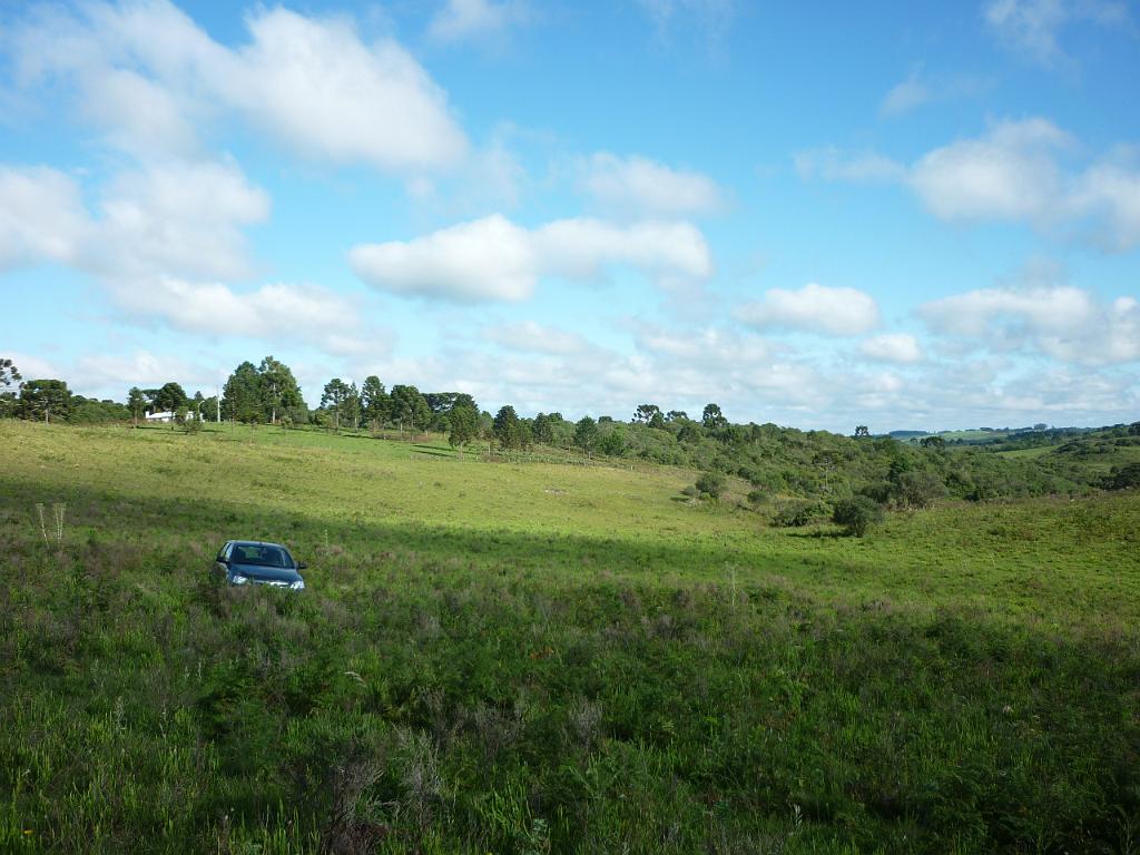 P1030346.JPG