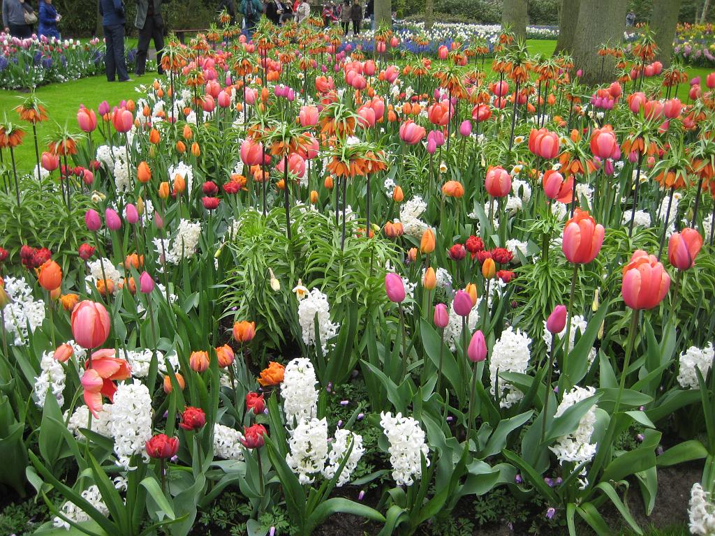 2012_Holland_083.JPG