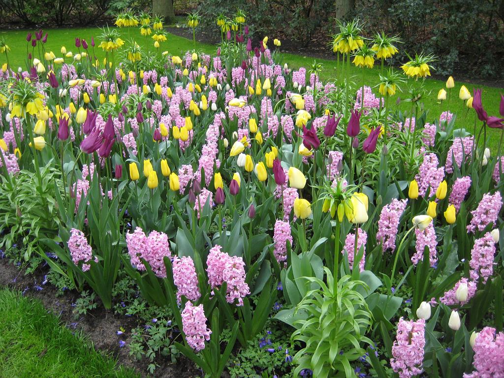 2012_Holland_084.JPG