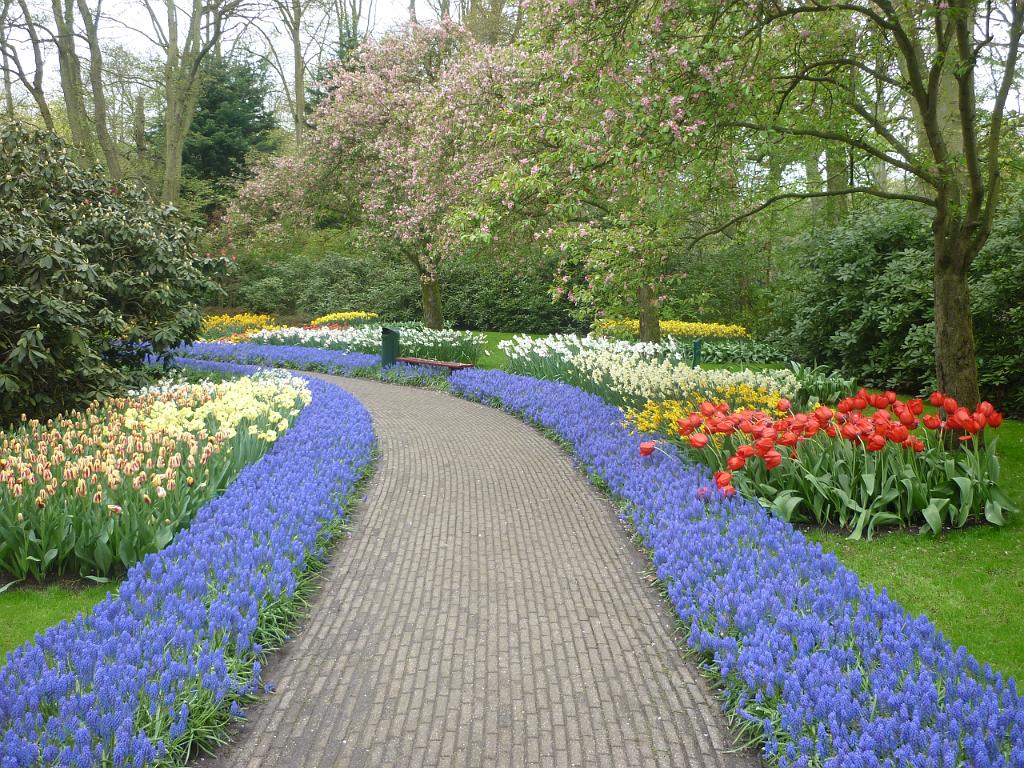2012_Holland_142.JPG