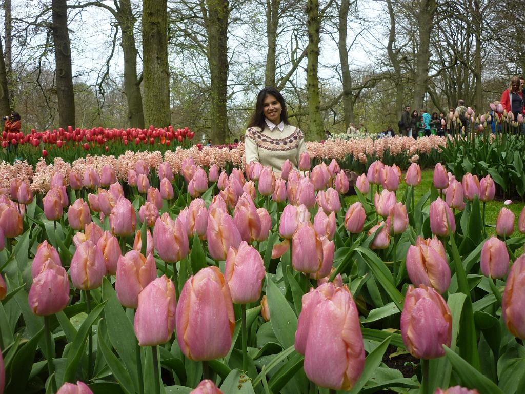 2012_Holland_409.JPG