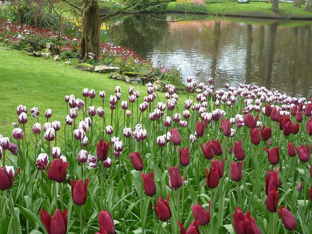2012_Holland_424.JPG