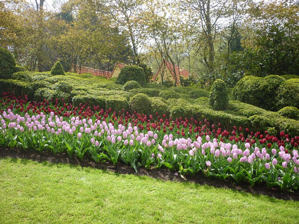 2012_Holland_427.JPG