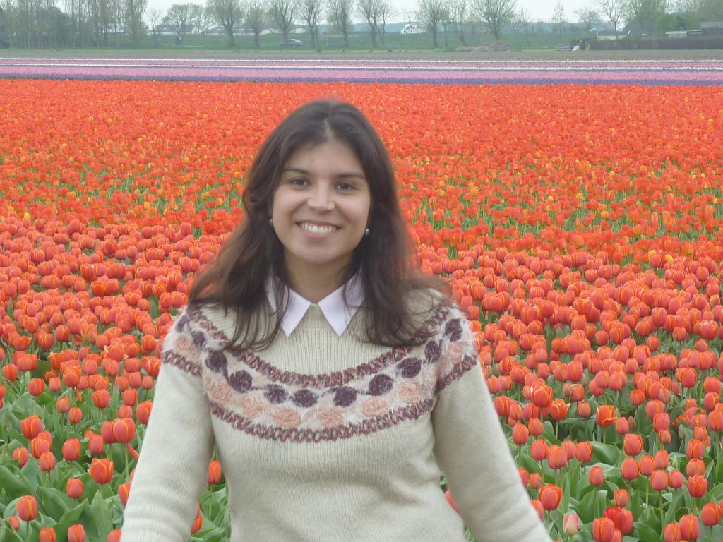 2012_Holland_482.JPG