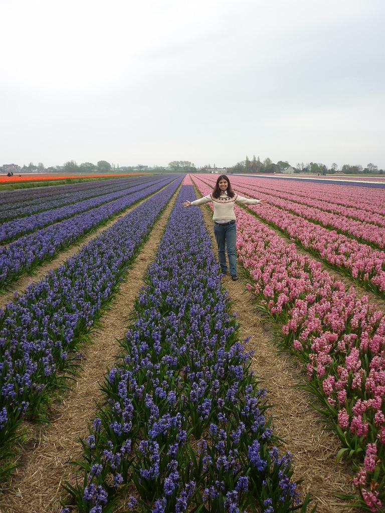 2012_Holland_490.JPG