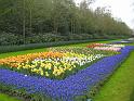 2012_Holland_070