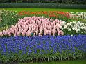 2012_Holland_071