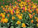 2012_Holland_080