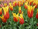 2012_Holland_332