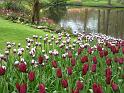 2012_Holland_424