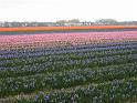 2012_Holland_425
