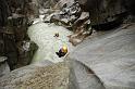 2012_07_Interlaken_Canyoning_009