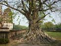 2013_02_Thailand_4_Sukhothai(336)
