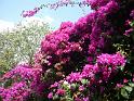 2013_02_Thailand_5_Chiang_Mai(373)